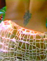[see her nude]